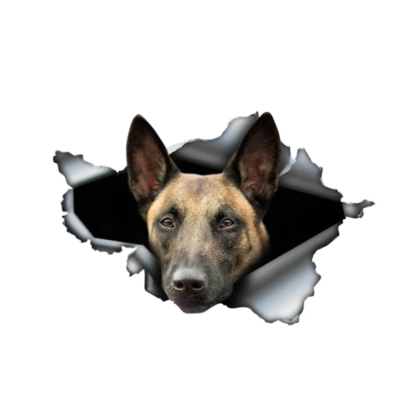 

13cm*8cm Belgian Malinois Torn Metal Car Sticker Waterproof Decal Laptop Windows Truck Motorcycle Auto Accessories PVC