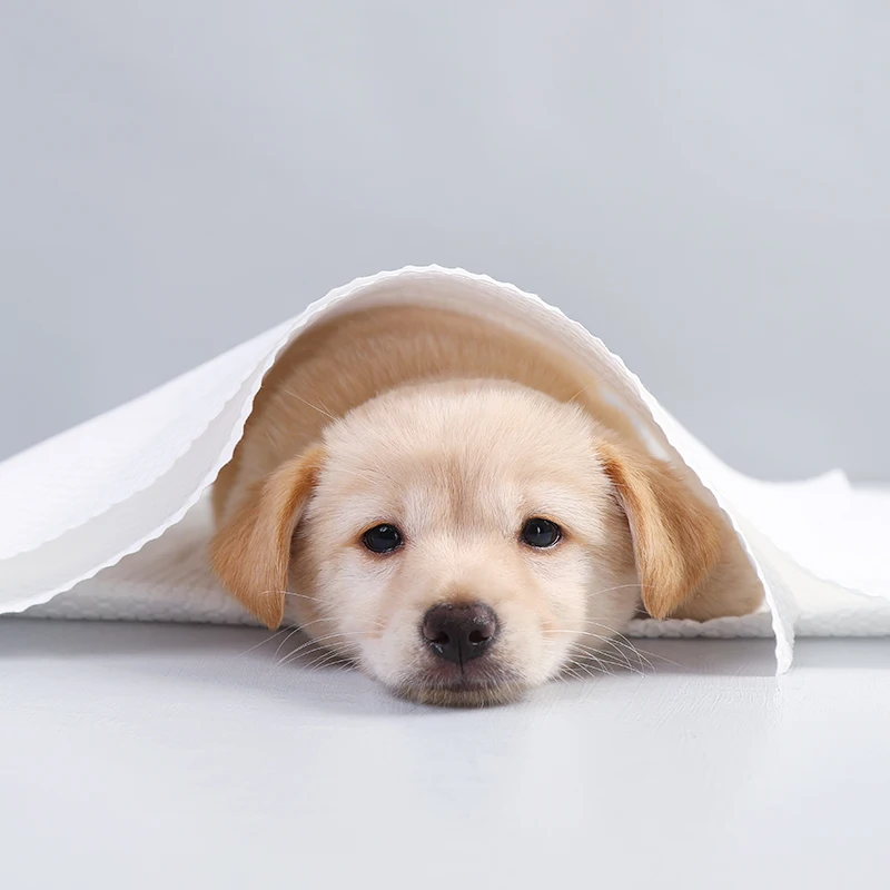 

Одноразовое полотенце для домашних животных, 20 шт.