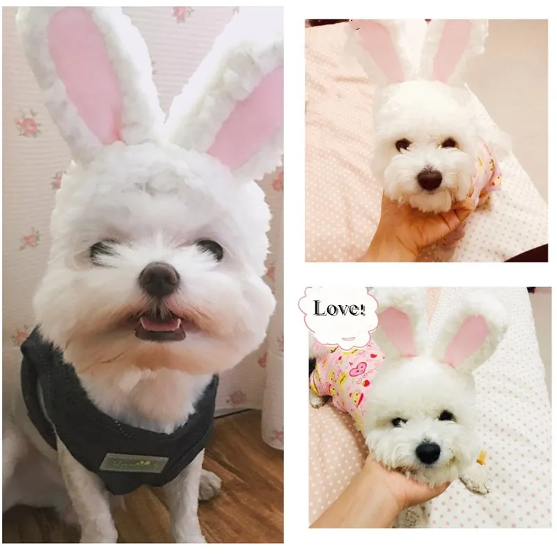 

Cat Hat Pet Cat Dog White Rabbit Ear Hat Cute Selling Cute Rabbit Ear Headdress