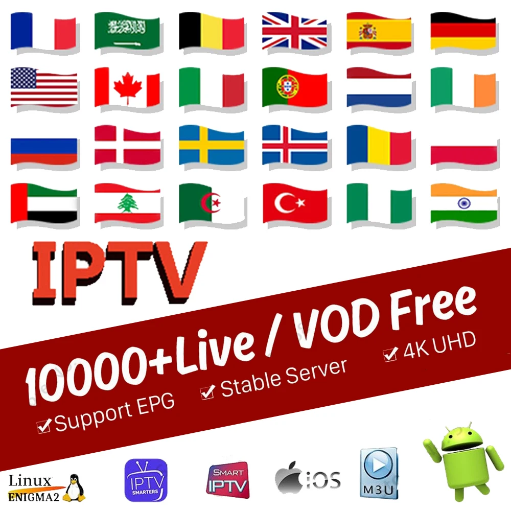 Европа италия Испания Android TV Box Бельгия голландский арабский поддержка M3u Smart box