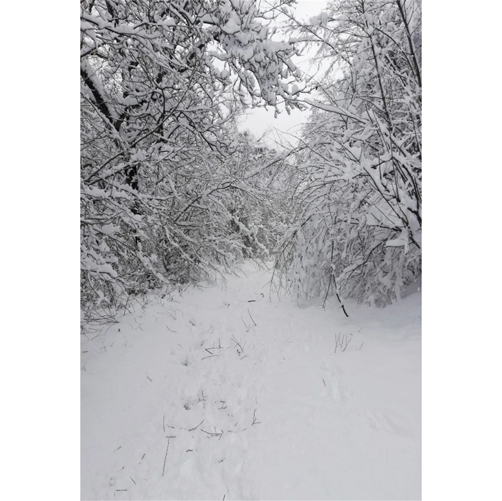 

Yeele Winter Scenery Backdrop Photography Snow Forest Branches Baby Birthday Photocall Background For Photo Studio Photographic