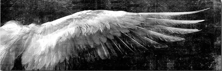 24 вида на выбор большие крылья Ангела винтажное перо художественная пленка