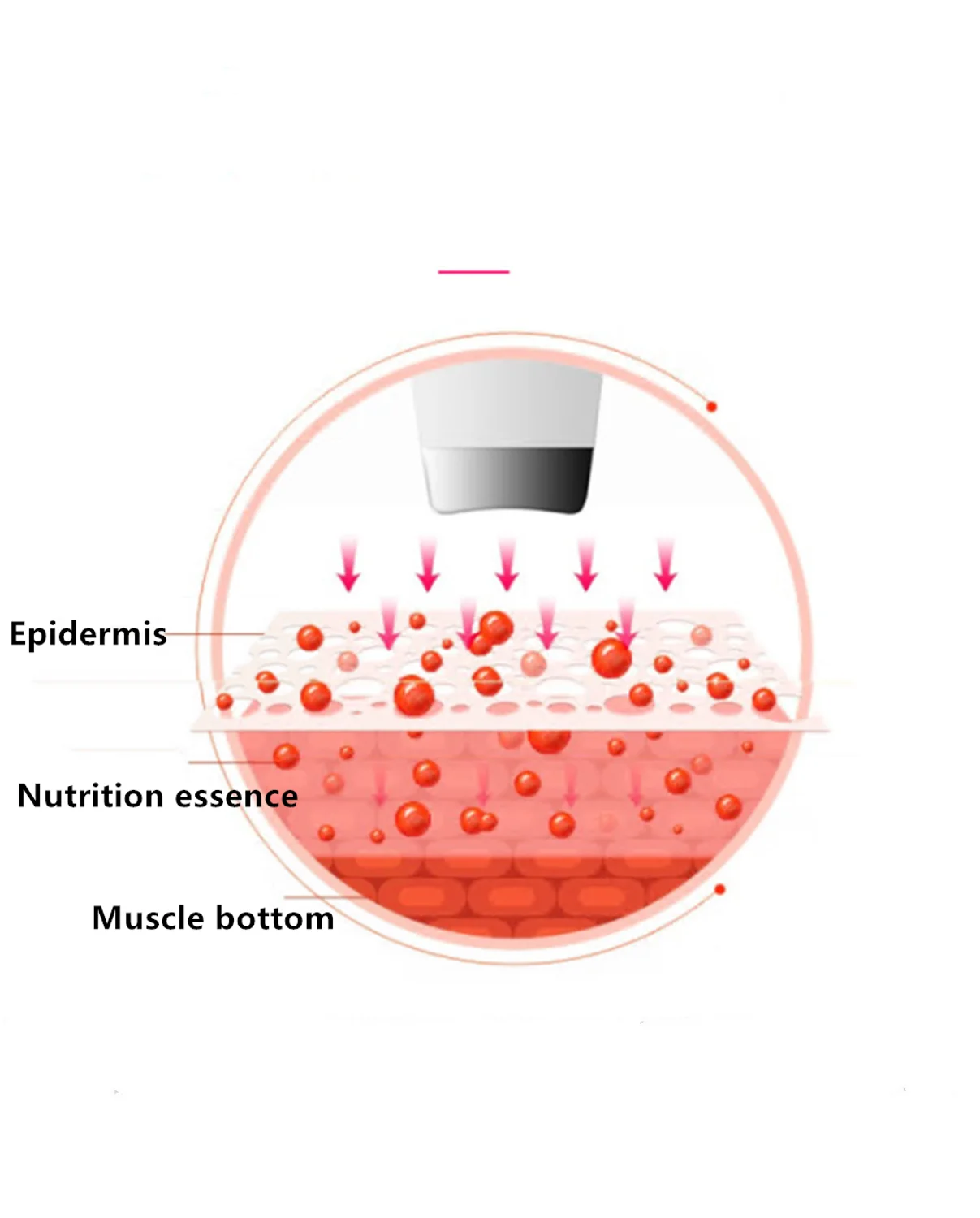 

Ultrasonic Skin Scrubber Cleaner Ion Acne Blackhead Remover Peeling Shovel Cleaner Facial Massager