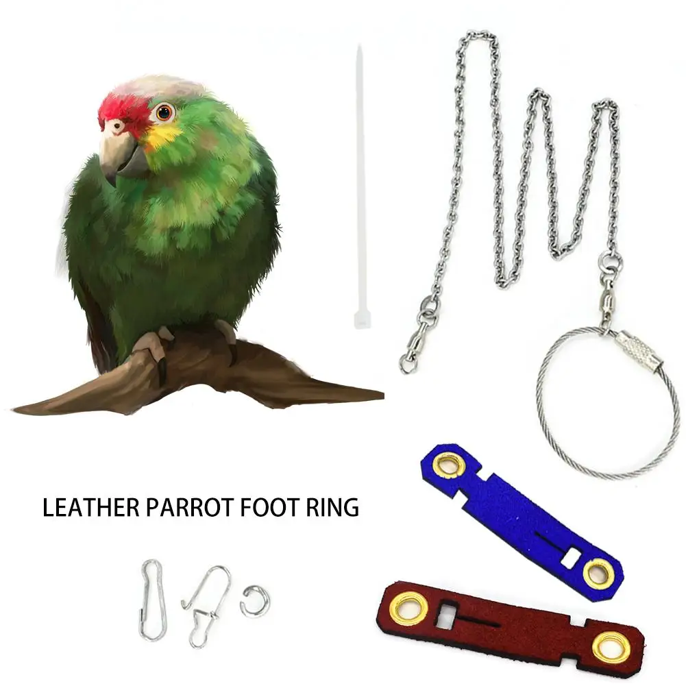 5 размеров 2 цвета Pet Parrot Leg Ring цепочка на лодыжку птица кольцо открытый Летающий обучение открытие активности нашест для птиц аксессуары