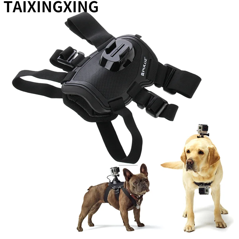 

Dog Harness Chest Mount for Gopro hero 9 8 7 6 5 4 3+ Go pro camcorder Hound Pets Chest strap belt SJCAM SJ4000 Xiaoyi 4K Camera