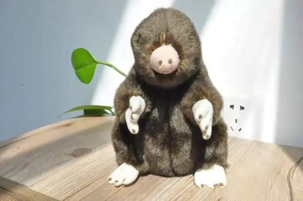 

Stuffed Animals & Plush