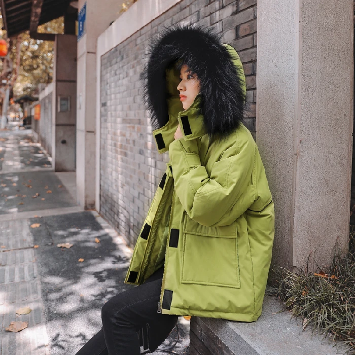 

Fall And Winter 2019 New Chic Female Korean Down Garment