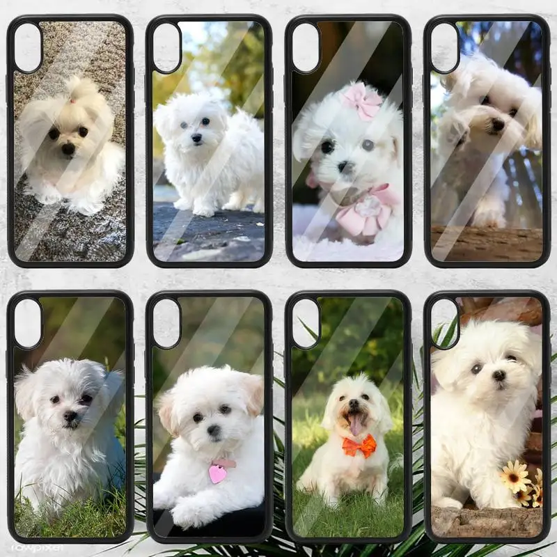 

Maltese Dog Puppy cute animal Phone Case PC for iPhone 11 12 pro XS MAX 8 7 6 6S Plus X 5S SE 2020 XR