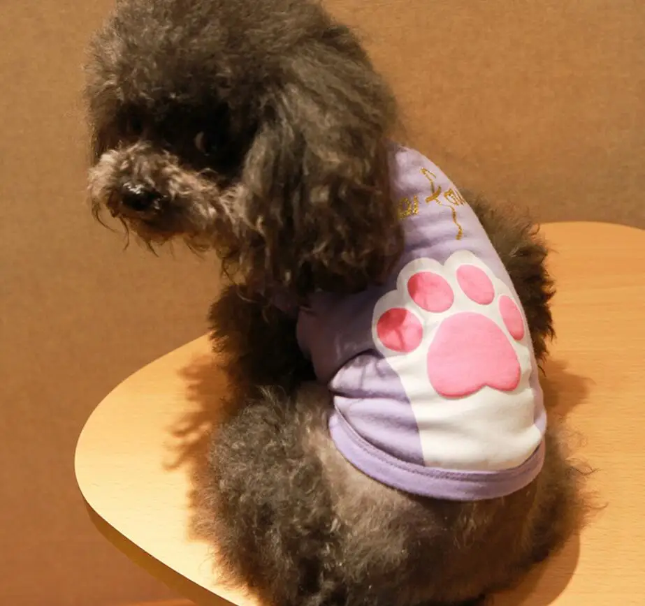 Новая летняя жилетка для щенка дешевая мягкая футболка питомца с рисунком звезды