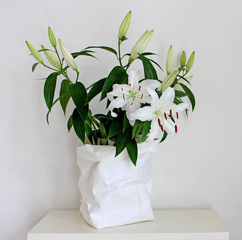 Моющаяся сумка для хранения из крафт бумаги нет слов с красивыми растениями