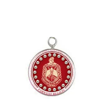 20pcs charm Размер 1 дюйм большие круглые аксессуары Delta Sigma Theta восточный регион Шарм для браслета и ожерелья DST очарование женского пола - Окраска металла: 20pcs charm