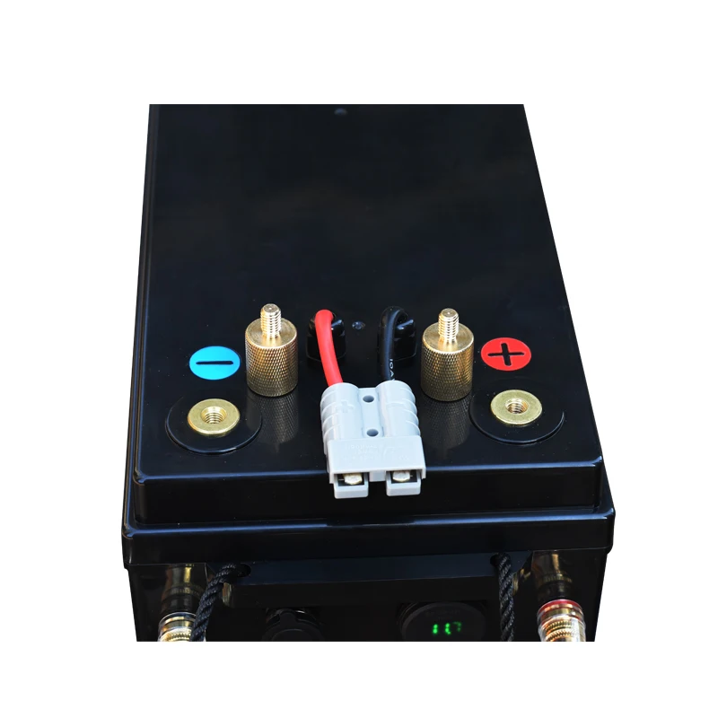 12V 200AH LiFePO4 батарейный блок с bluetooth BMS 12 8 v lifepo4 литиевая батарея 200ah 20A зарядное