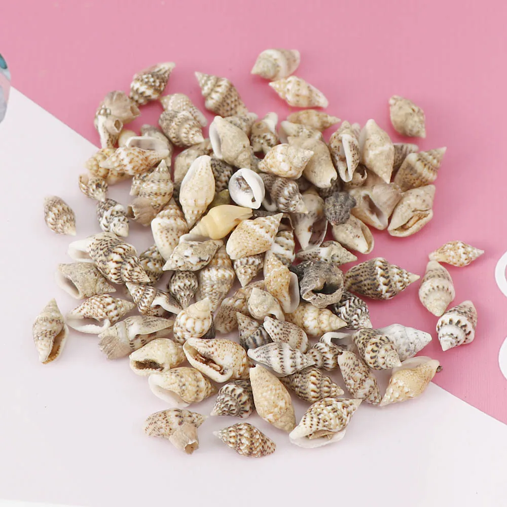 1 Box Pattern 4 Styles Nature Beach Fashion Sea Shells For DIY Caft Decor Jewelery Craft Accessories Holes Shell Decoration