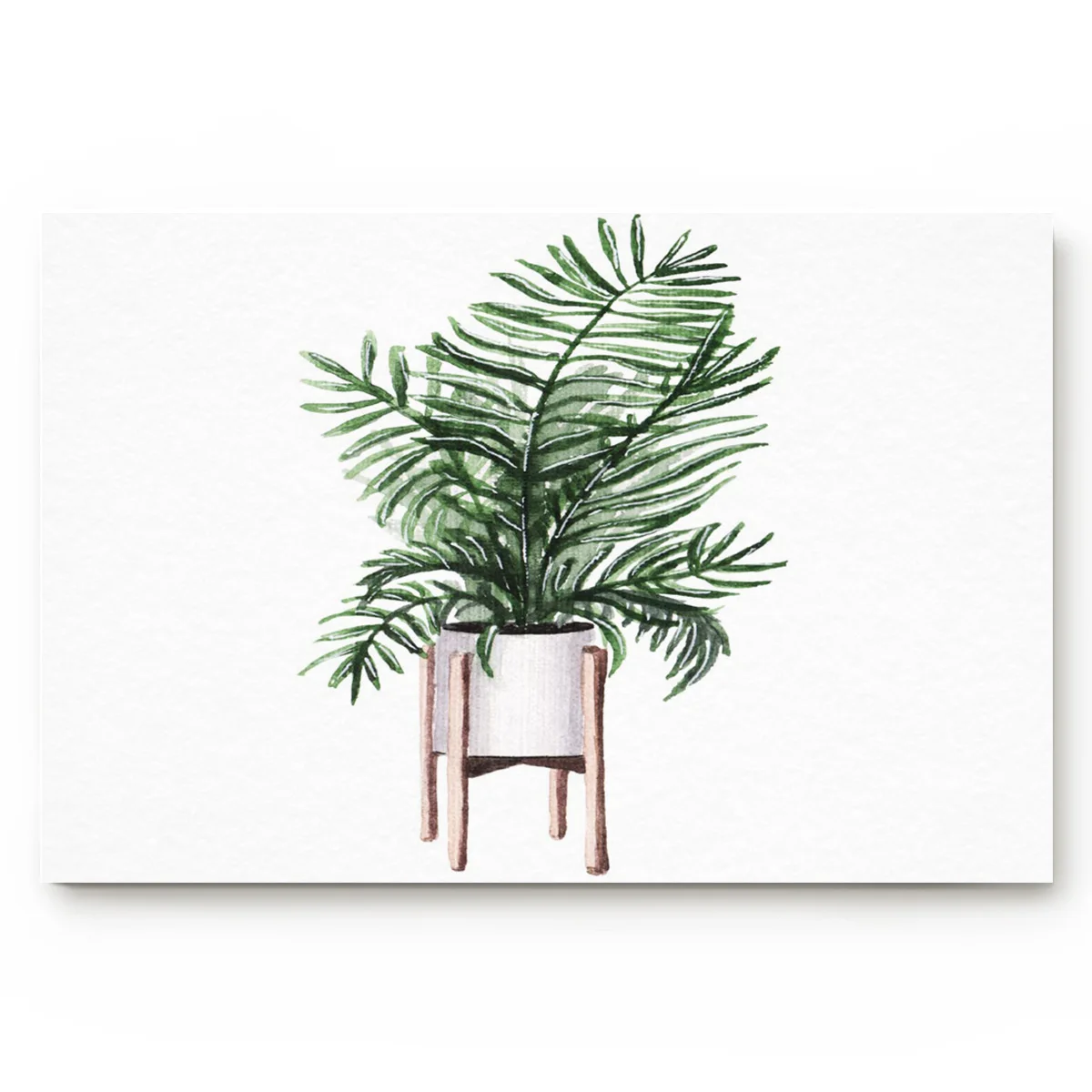 Завод акварельный зеленый украшает домашний Стиль качество Материал хорошо