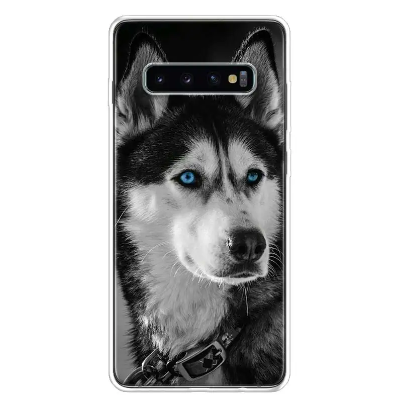 Чехол для Samsung Galaxy S10 Plus S20 FE S21 S22 Ultra S10E S9 S8 + S7 Edge J4 | Мобильные телефоны и аксессуары
