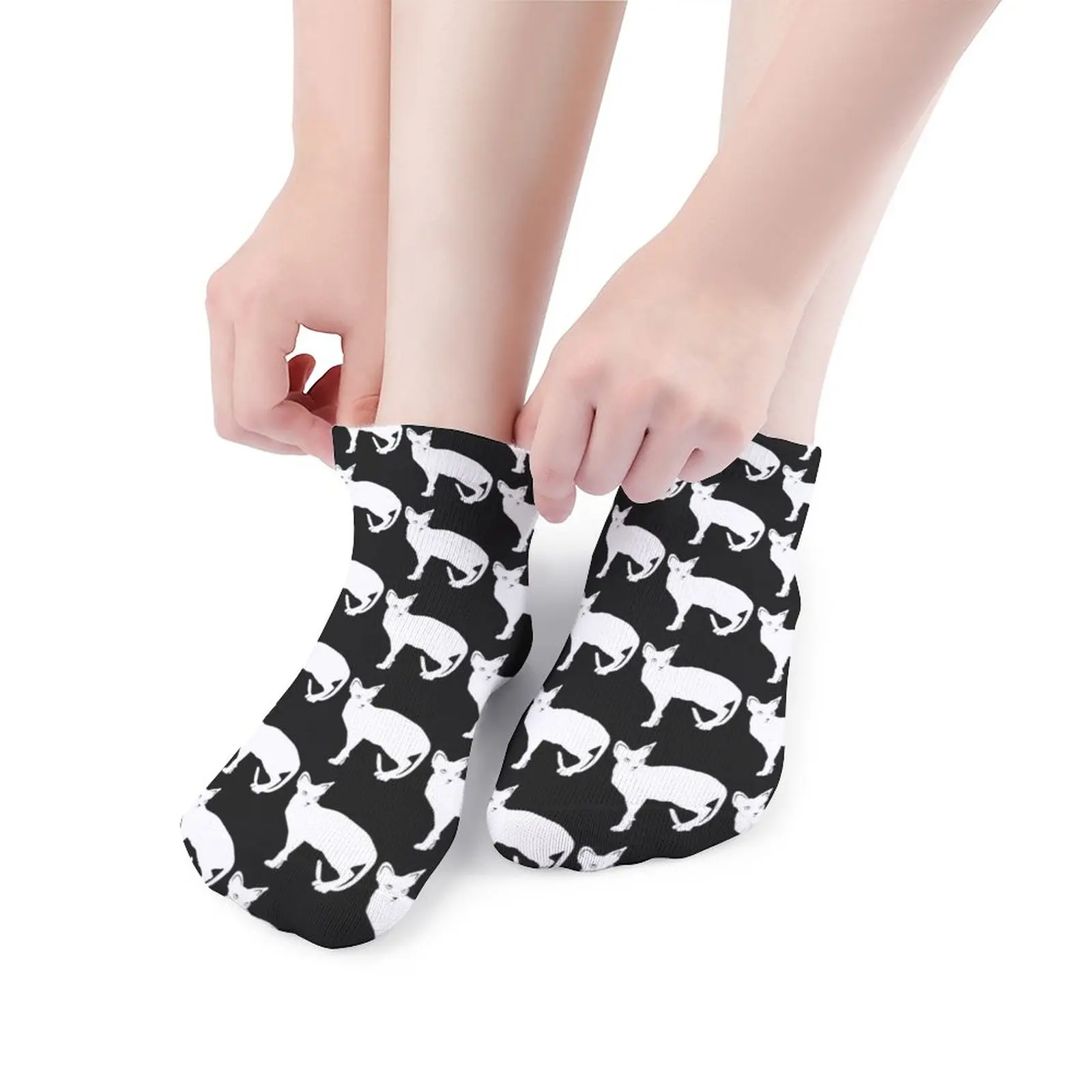 

Sphynx Cat Socks Pictures Stylish Socks Antiskid Spring Couple Large Chemical Fiber Socks