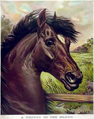 

LZATPD SLALL Horse Poster.Powerful Graphic Design Retro Street Sign Household Metal Tin Sign Bar Cafe Car Motorcycle