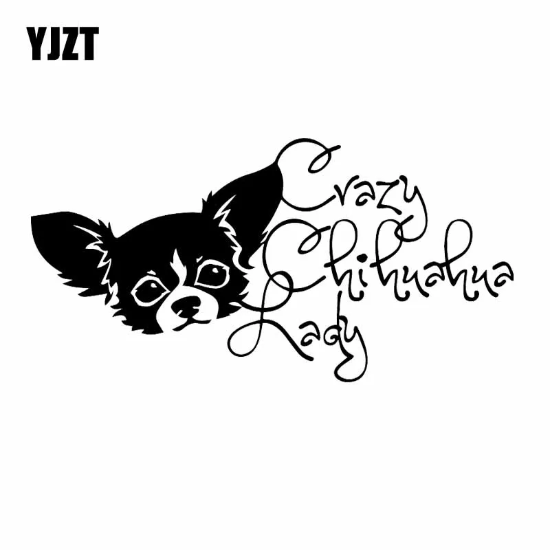 

YJZT 19x9,6 см Виниловая наклейка Crazy Chihuahua Lady на бампер с окошком для собаки или питомца Chi Love Dogs черная/Серебряная Фотография
