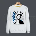 Толстовка мужская с принтом атака на Титанов