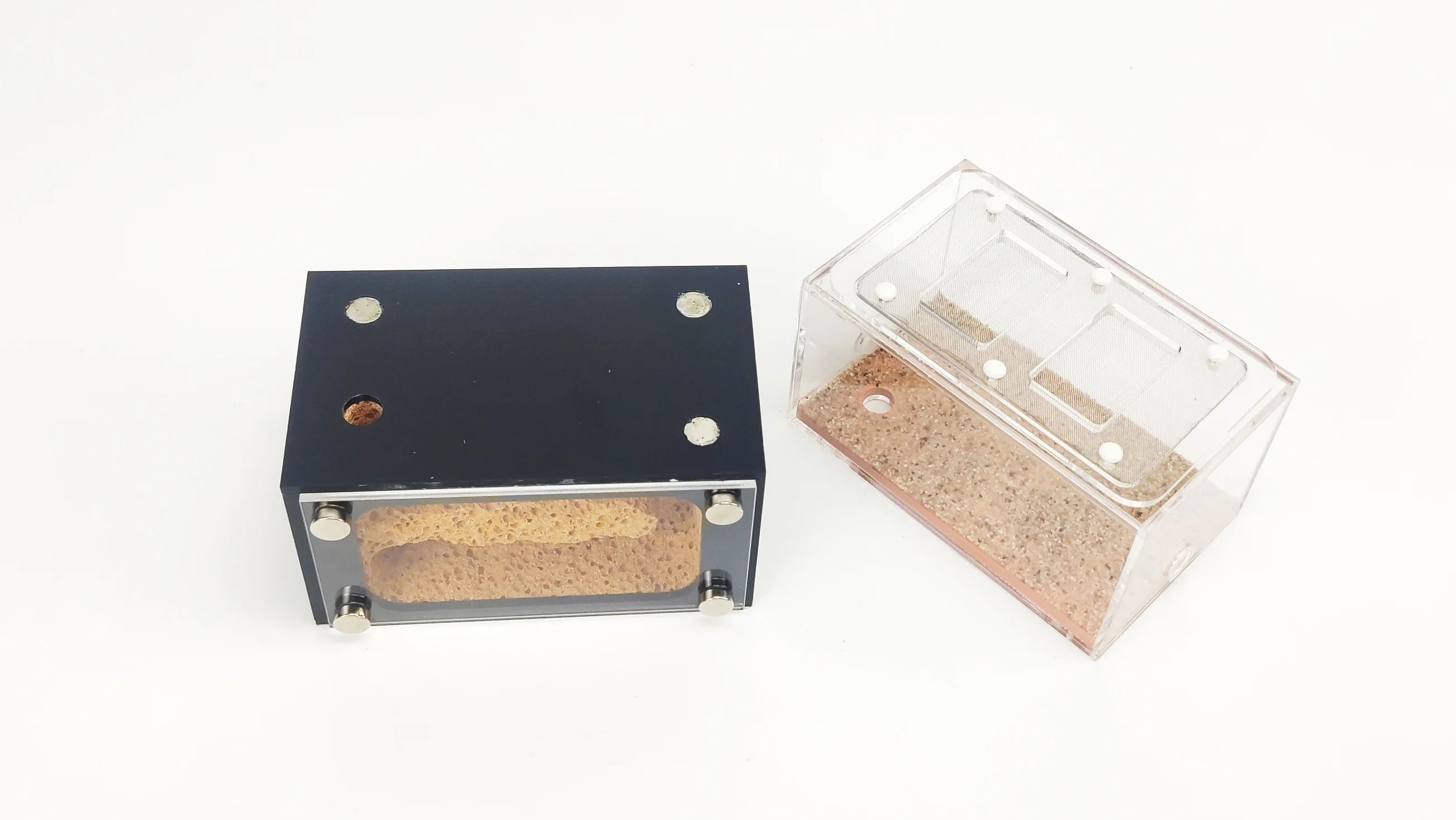 Бетонные и акриловые муравьиные гнезда муравьиная ферма независимые зоны