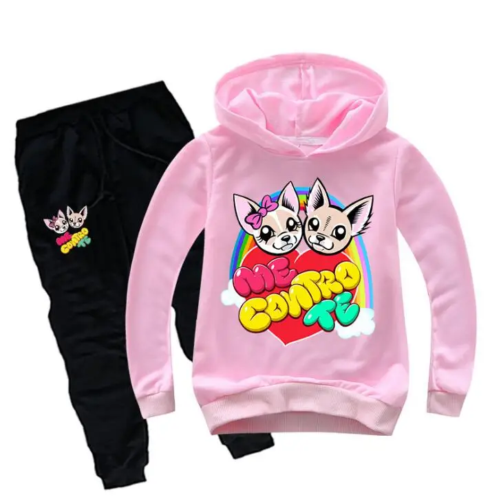 Детский спортивный костюм из двух предметов толстовка с капюшоном и штаны |