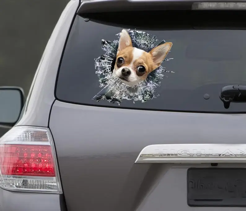 

2021 STICKER, Chihuahua window sticker, car sticker, chihuahua car decal