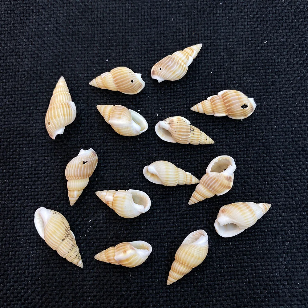 

100pcs/pack of Natural Small Conch Shell Beads Spacer Beads DIY Jewelry Making Necklace Bracelet Loose Beads Pendant Accessories