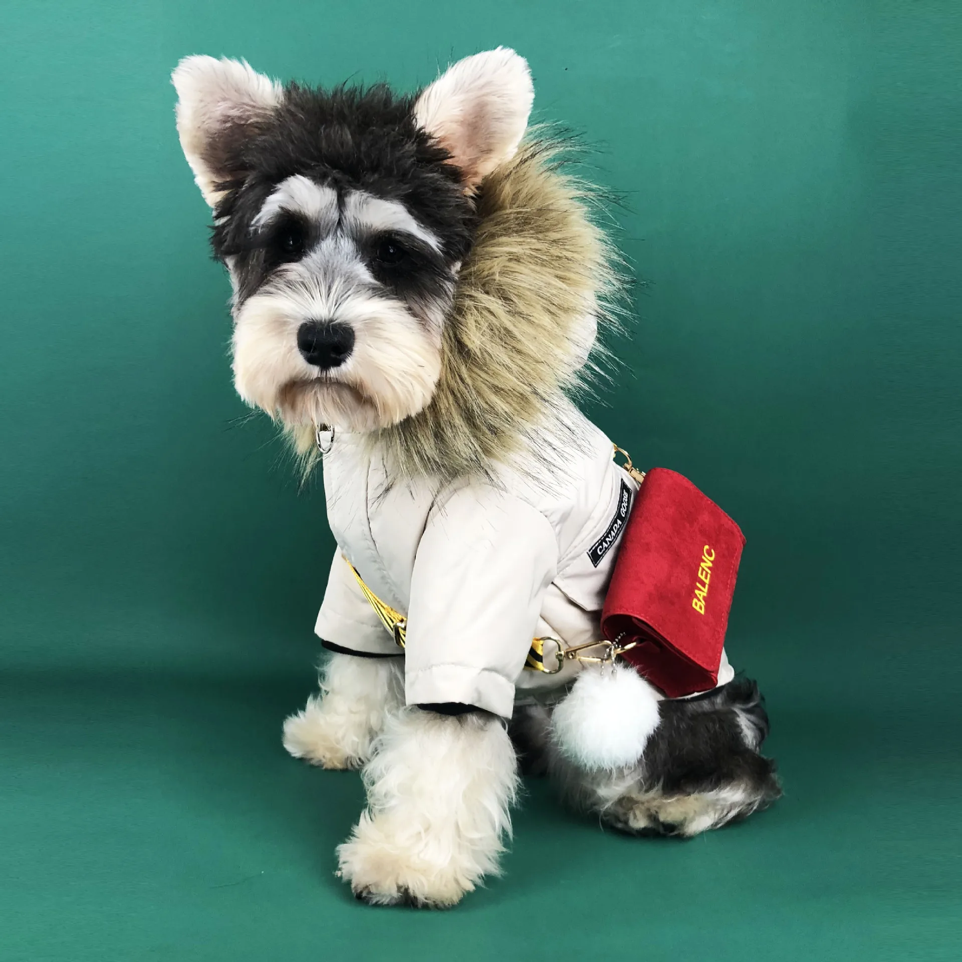 

Hot Selling Dog Clothes Winter Dress Pie overcome Down Jacket Plus Plus Thick Pet coat