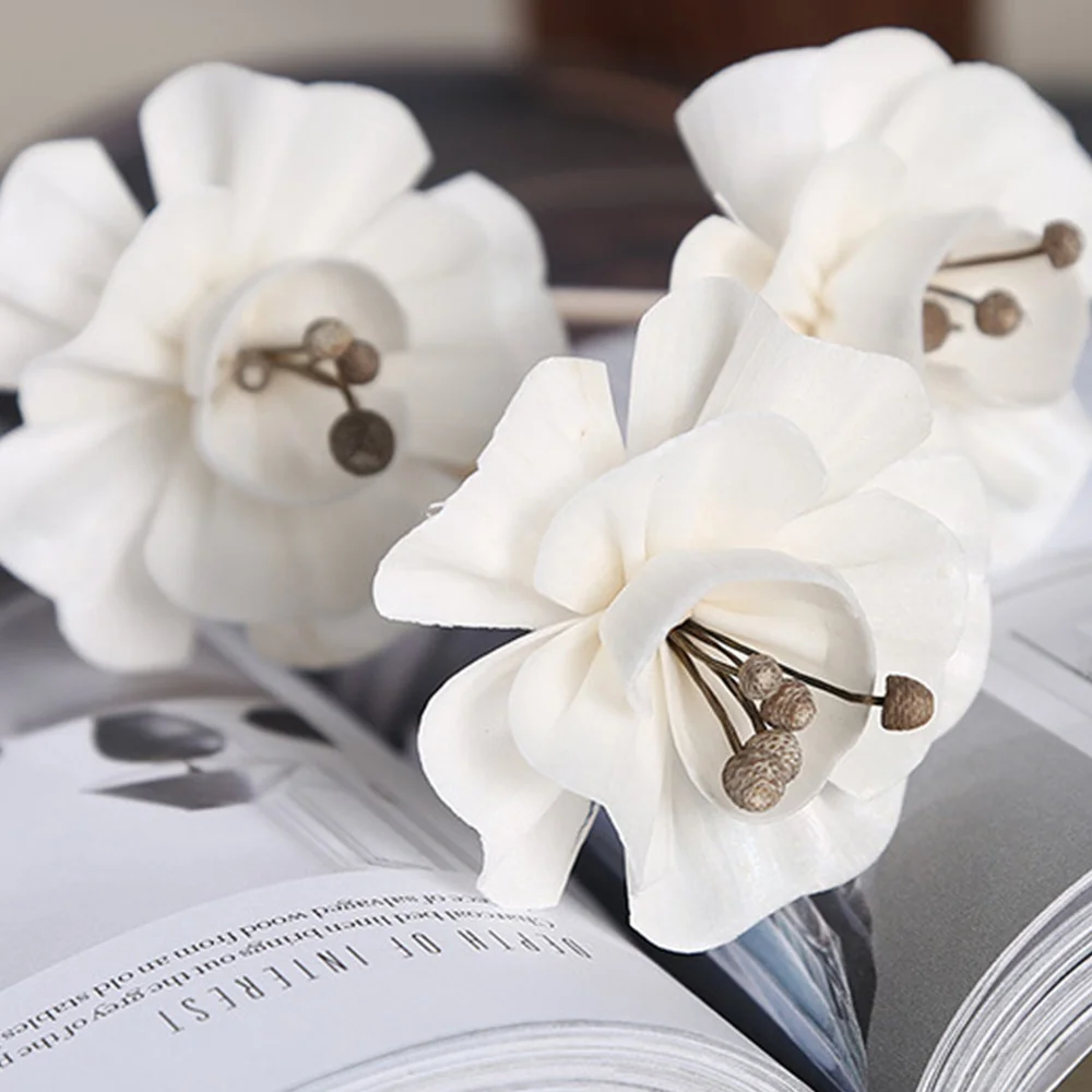 5 шт. лоза Цветочная веточка Духи диффузор палочки волнистые Ротанговые бердовые