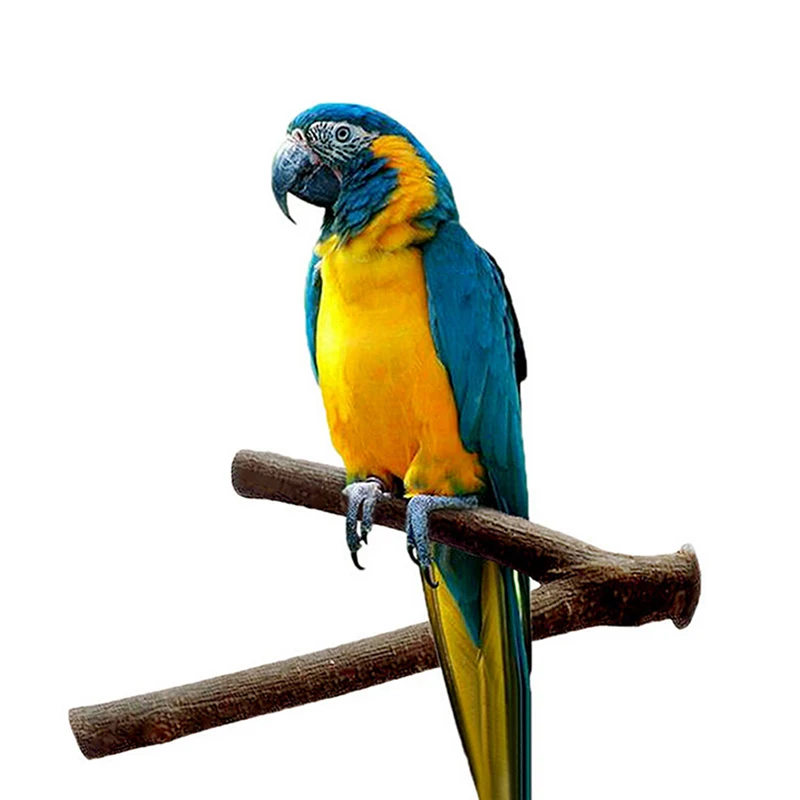 Hot sale 1pc Pet Parakeet Budgie Hanging Play Toys Parrot Wooden Resk Holder Perches Platform Bird Cage Wood Branch Stand Perche | Дом и сад