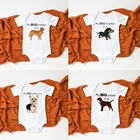 Рубашка мой старший брат-золотистый ретривер для мальчиков и девочек