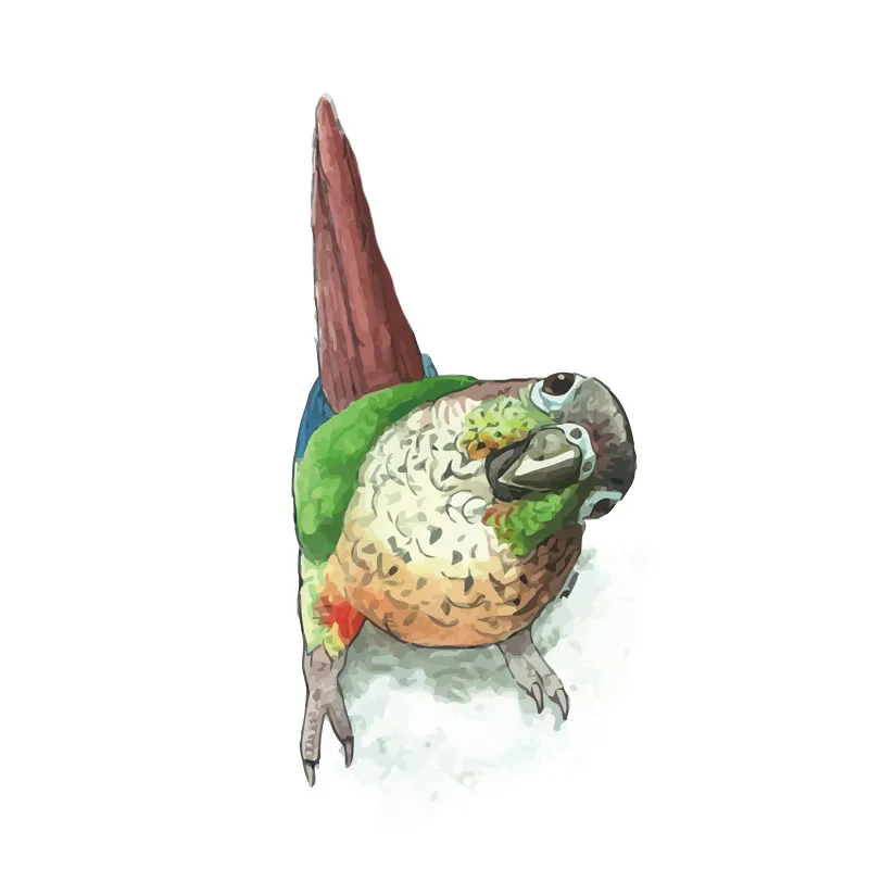 Персональные герои мультфильмов милые декор с попугаями стикер автомобиля