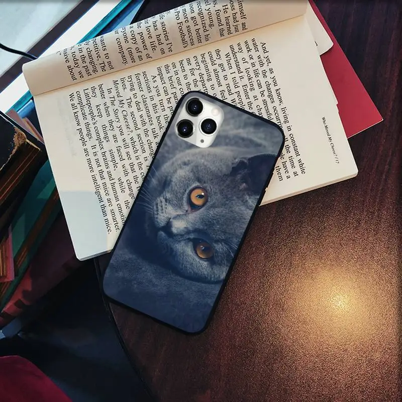 

Chartreux cat cute lovely animal Phone Cases for iPhone 11 12 pro XS MAX 8 7 6 6S Plus X 5S SE 2020 XR Soft silicone cover funda