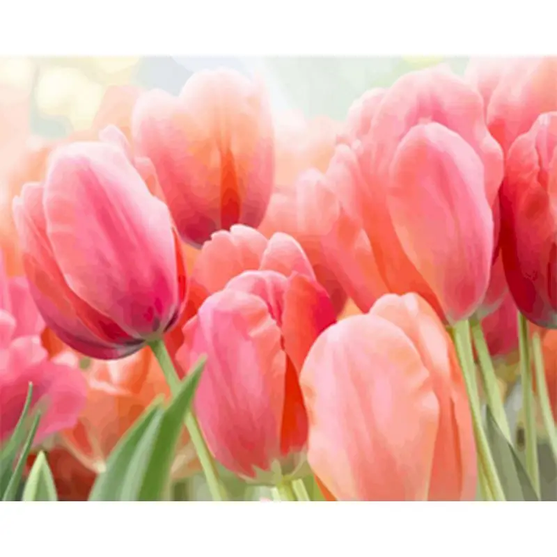 Красивая масляная краска цветы тюльпан по номерам самодельная - Цена: 1853.49