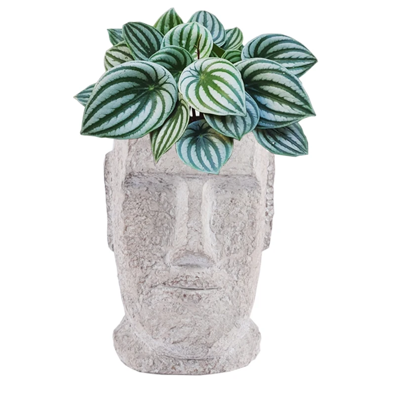 Human Face Flower Pot Creative Nordic Cement Plant Container Home Interior Statue Doniczka Ozdobna Table Decoration ED50FP