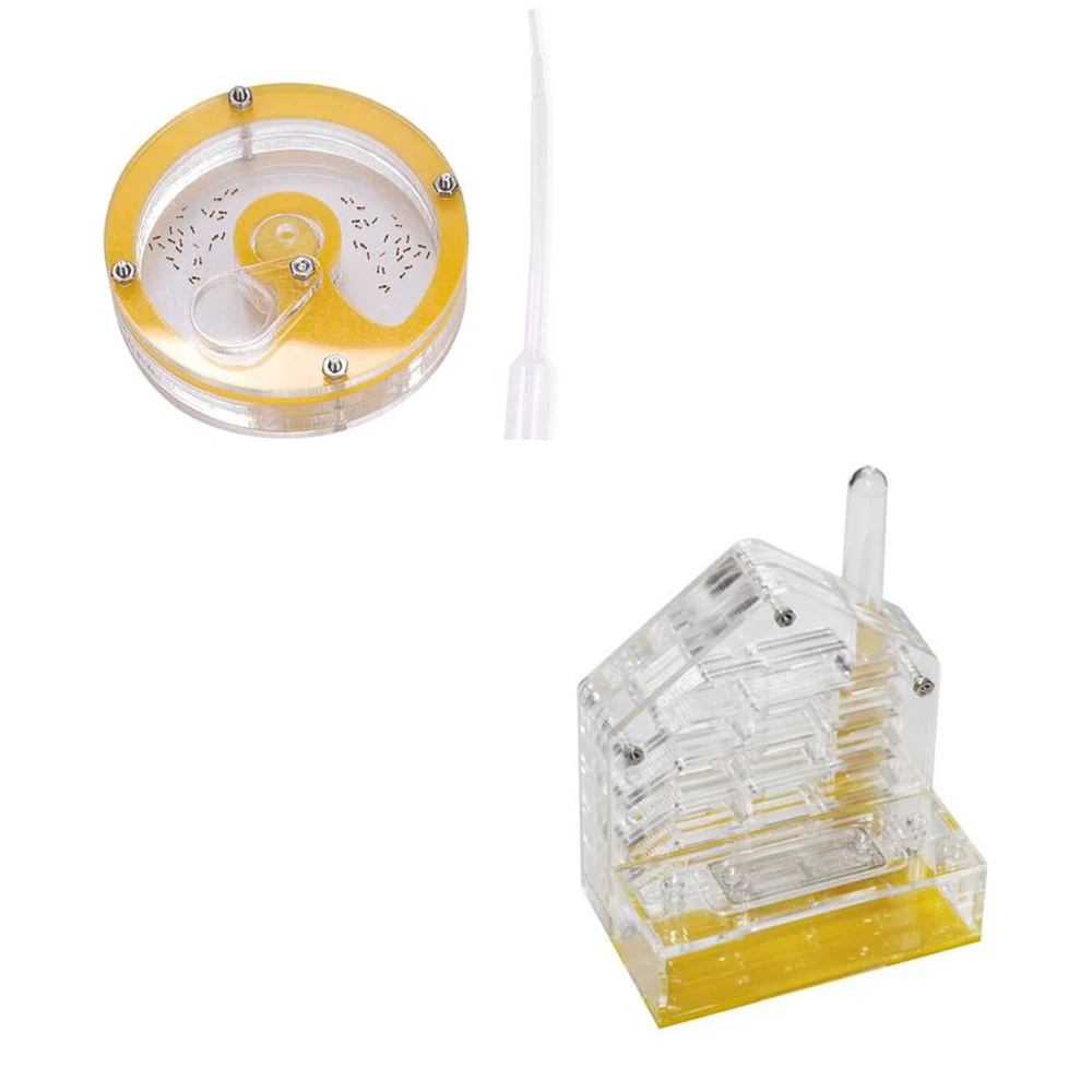 Муравьиное гнездо ферма акриловая коробка для разведения насекомых муравьиный