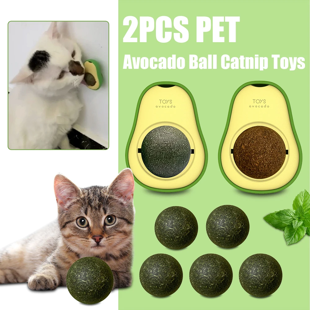 Коты и кошки с авокадо. Авокадо кошка. Опасная еда для кошек. Плакат с авокадо котиком. Авокадо кошечка.