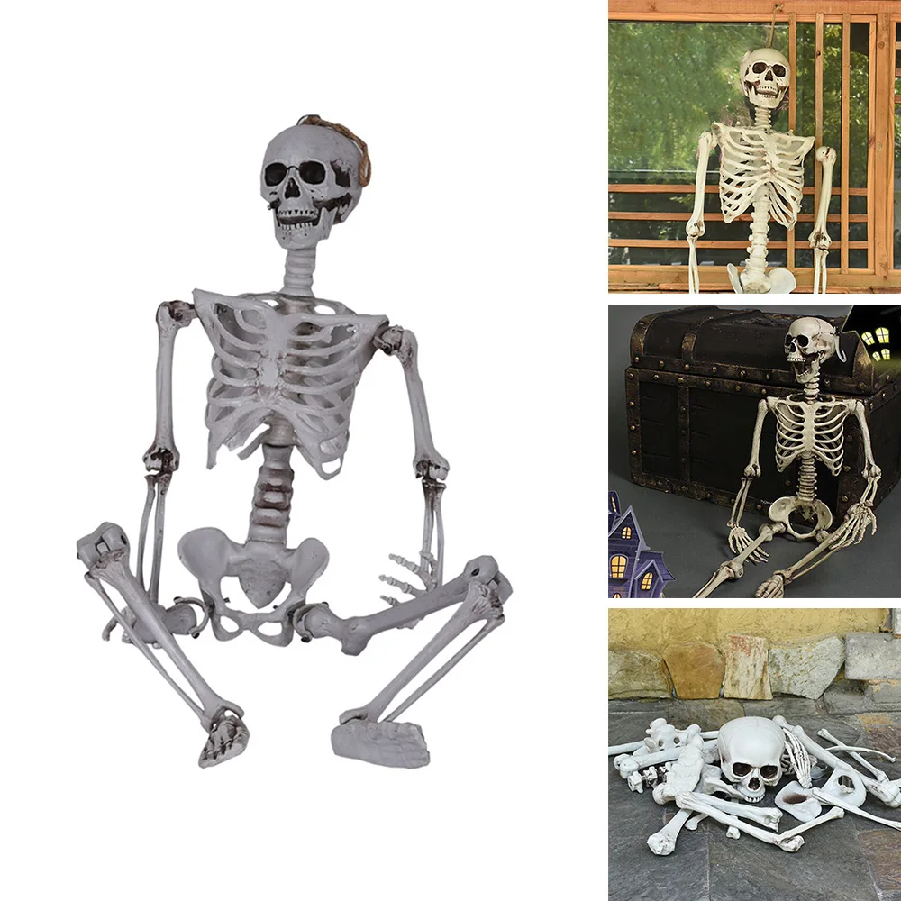 

Active Human Skeleton Model Anatomy Skeleton Skeleton Model Body Learning Halloween Party Decoration Skeleton Art Sketch