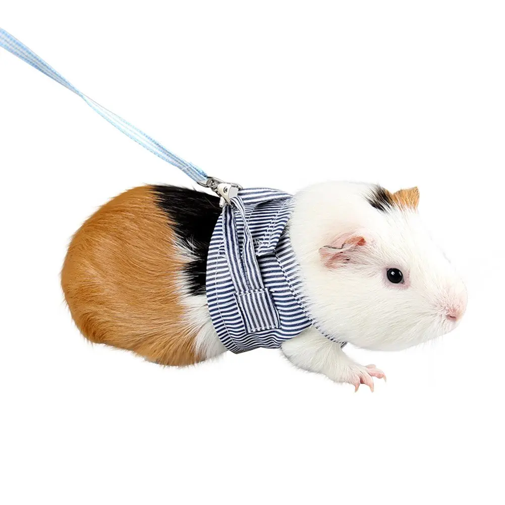 Поводок для домашних животных хлопковый жилет прочный поводок маленьких кошек