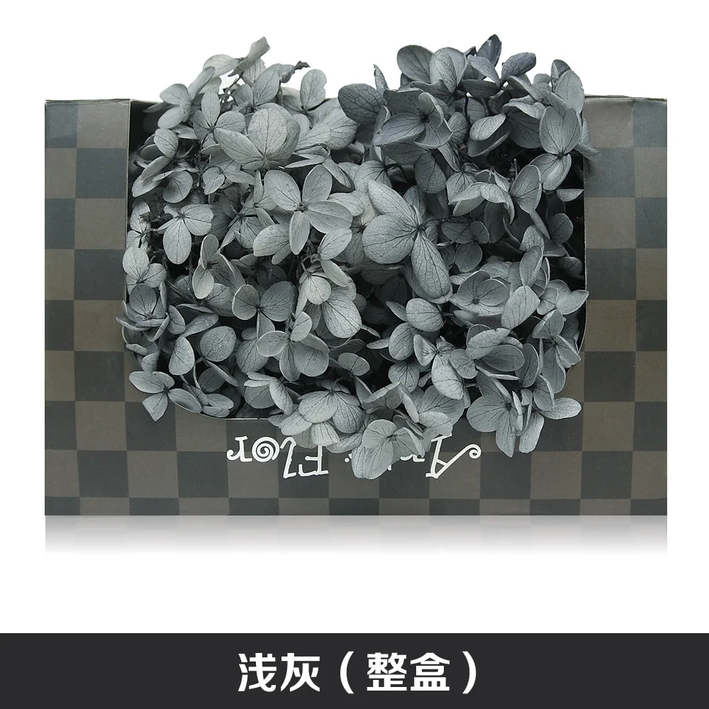 Сохраненный цветок гортензии в коробке натуральный настоящий бессмертный