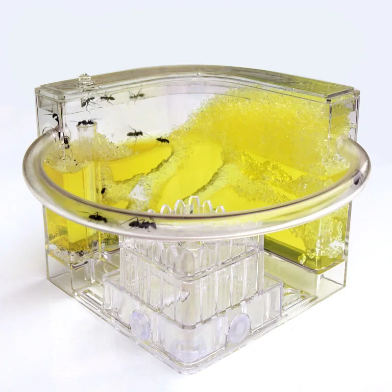 Муравьиная мастерская американские горки экологическое песочное гнездо