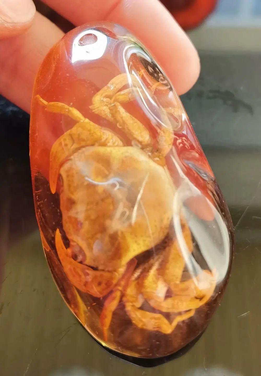 

fashion big size real crab keychain