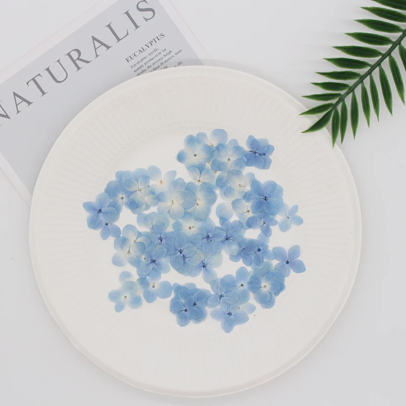 Небесно-Голубая Гортензия первичный цвет сухие цветы тиснение Закладка в виде