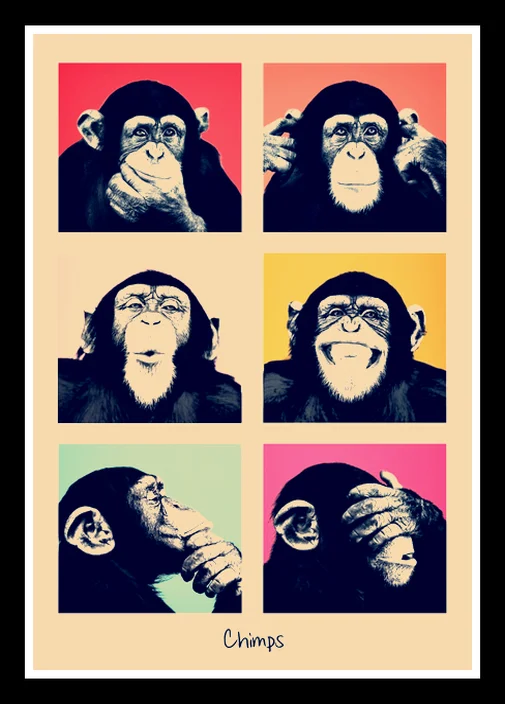 Идеальный JL продукта показано руководства Информационная карта кафе домашнего