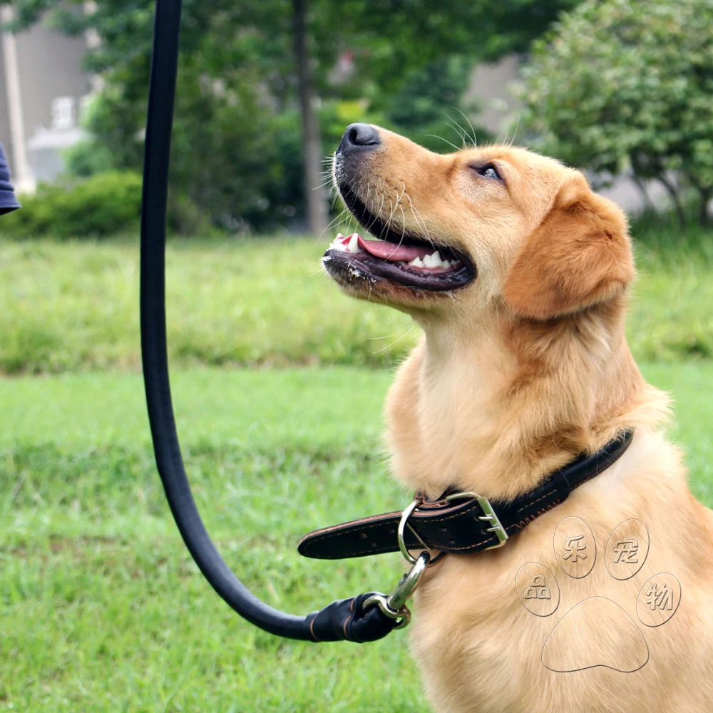 Выдвижной ошейник для питомцев автоматический гибкий поводок собак щенков кошек