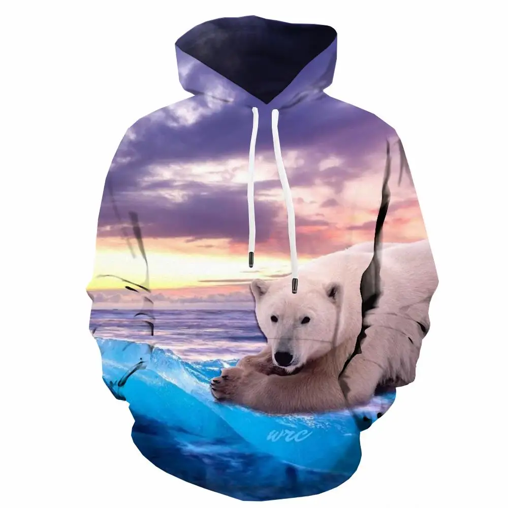 

Мужская толстовка с капюшоном и 3D-принтом медведя