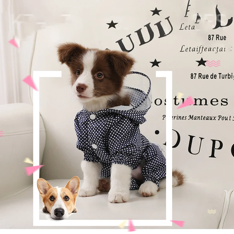Дождевик для милой собаки водонепроницаемый дождевик в горошек щенка дождь