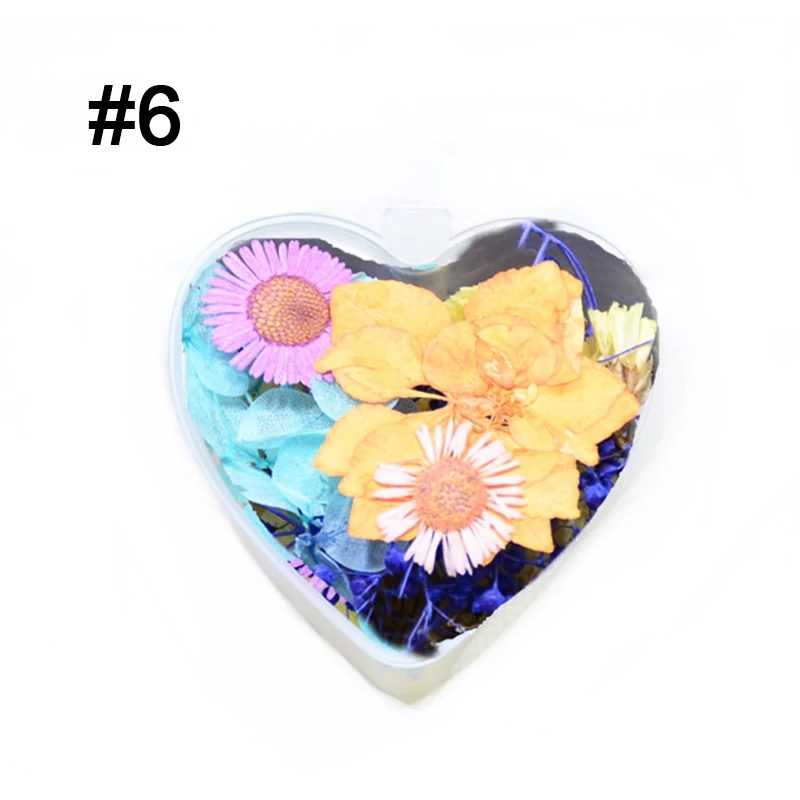 1 упаковка красочные натуральные высушенные цветы красота натуральная Флора УФ