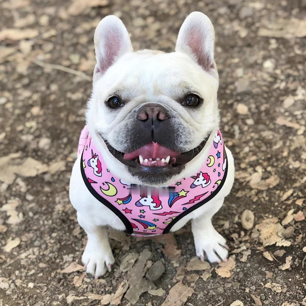 

Pug Small Dog Harness No Pull Dog Vest Harness for Small Medium Dogs Breathable Pets Puppy French Bulldog Dog Harness Leash Set