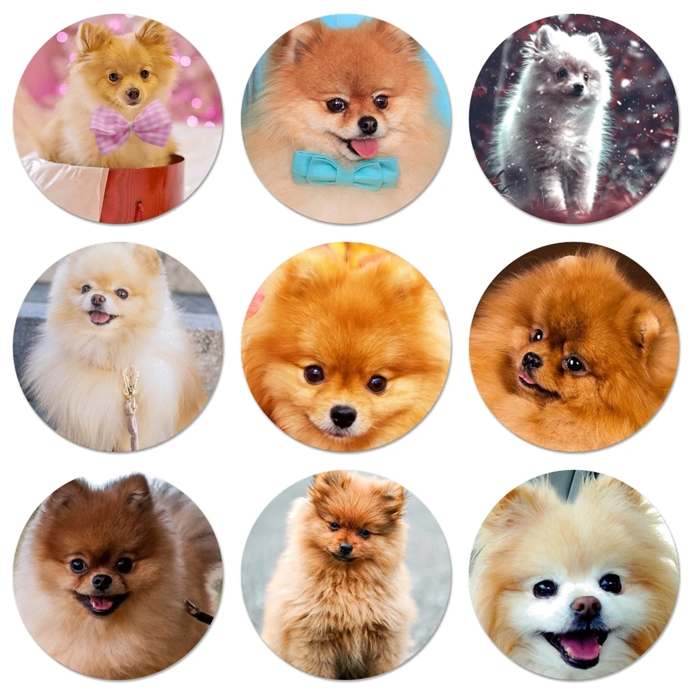 

Магнитный Открыватель для бутылок для померанских собак